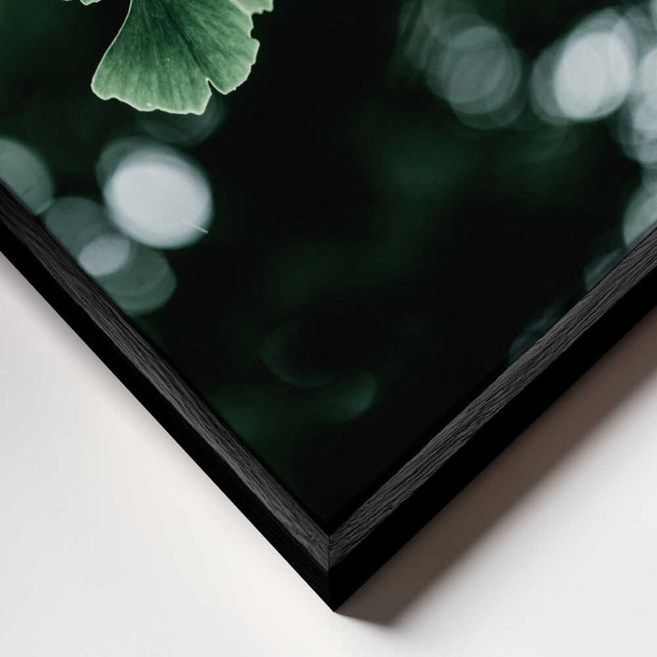 Ginko 1