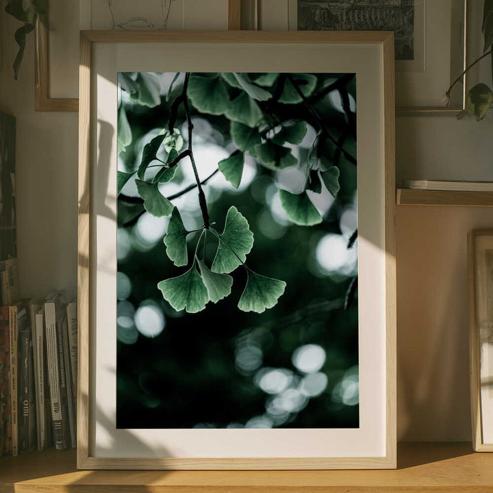 Ginko 1