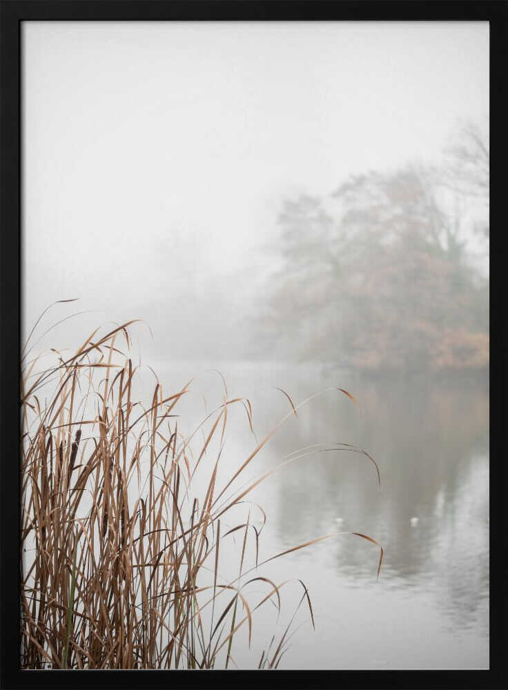 At the Lake