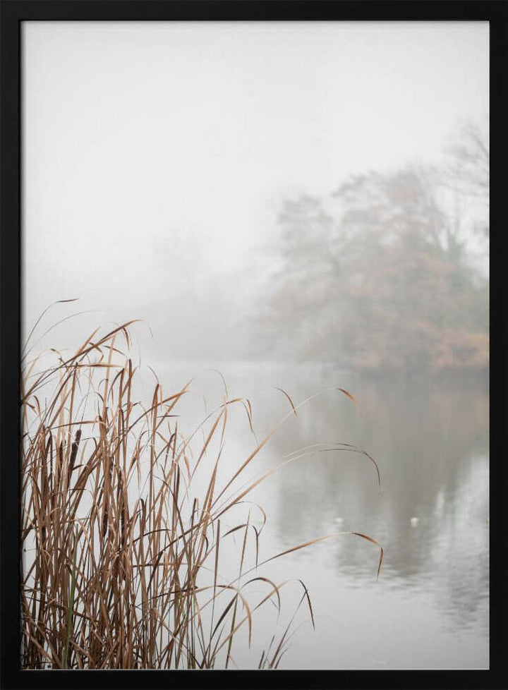At the Lake