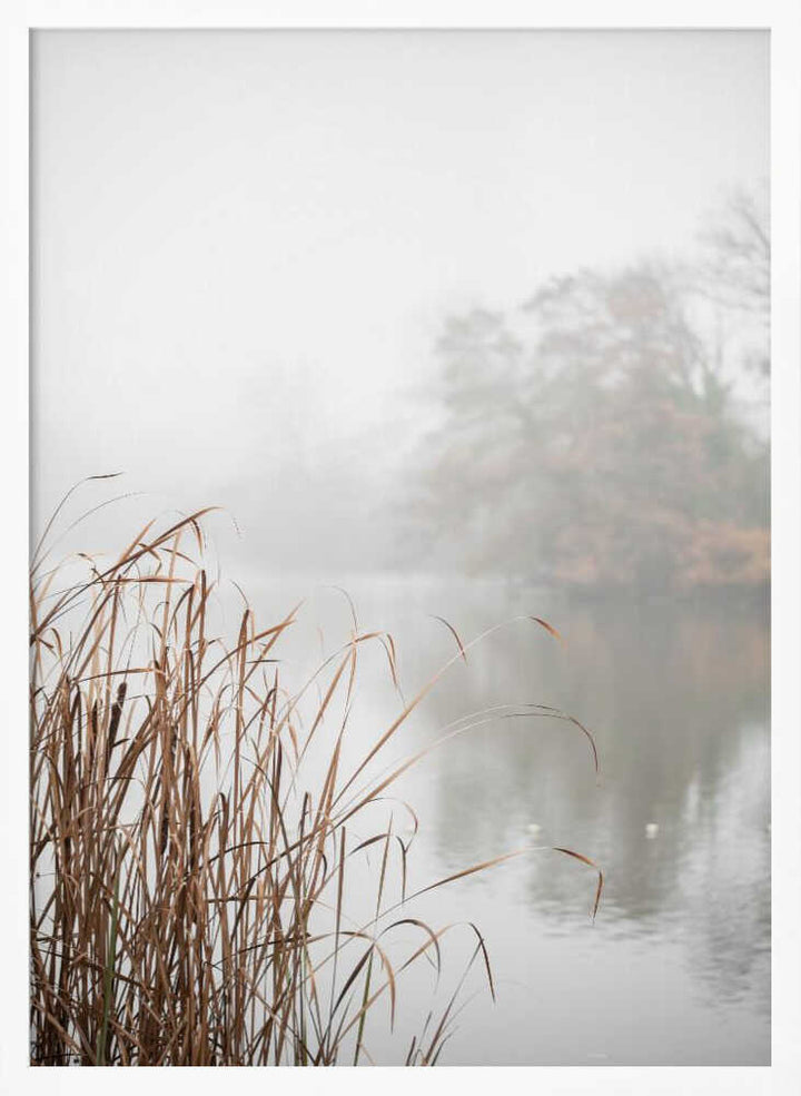At the Lake