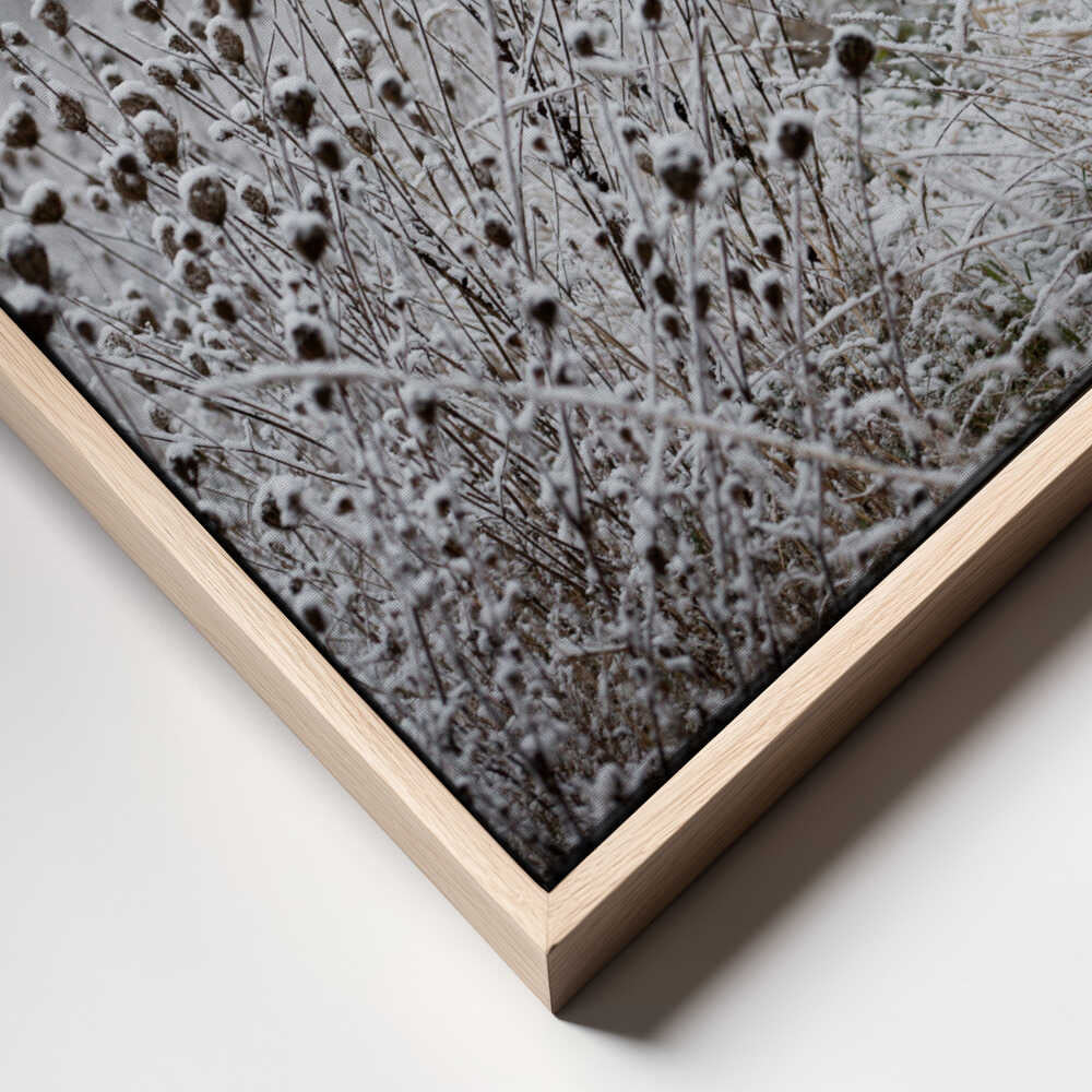 Winter Field 4