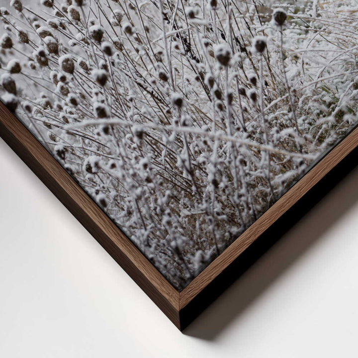 Winter Field 4