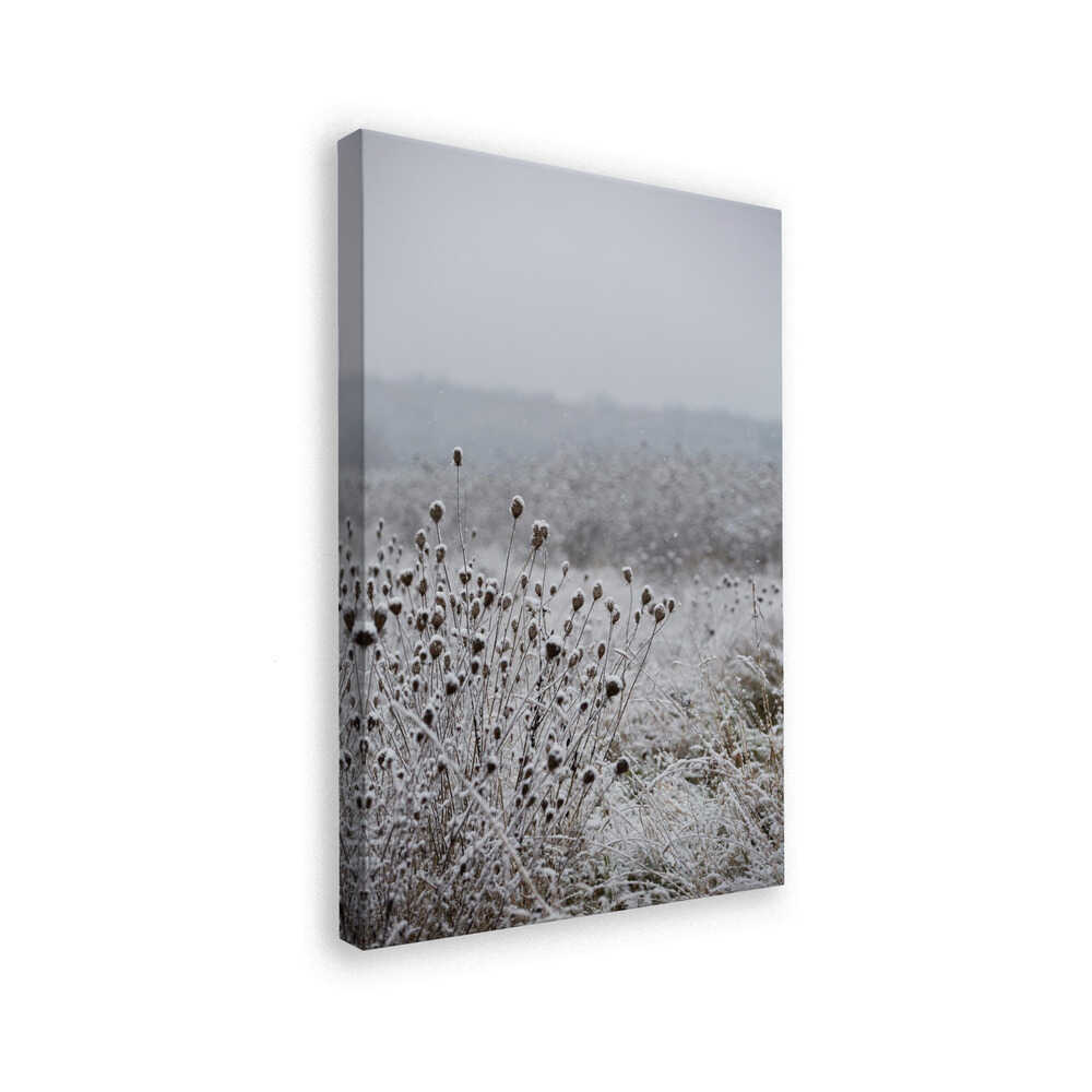 Winter Field 4