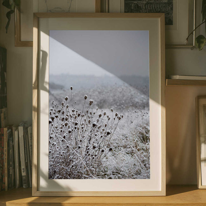 Winter Field 4