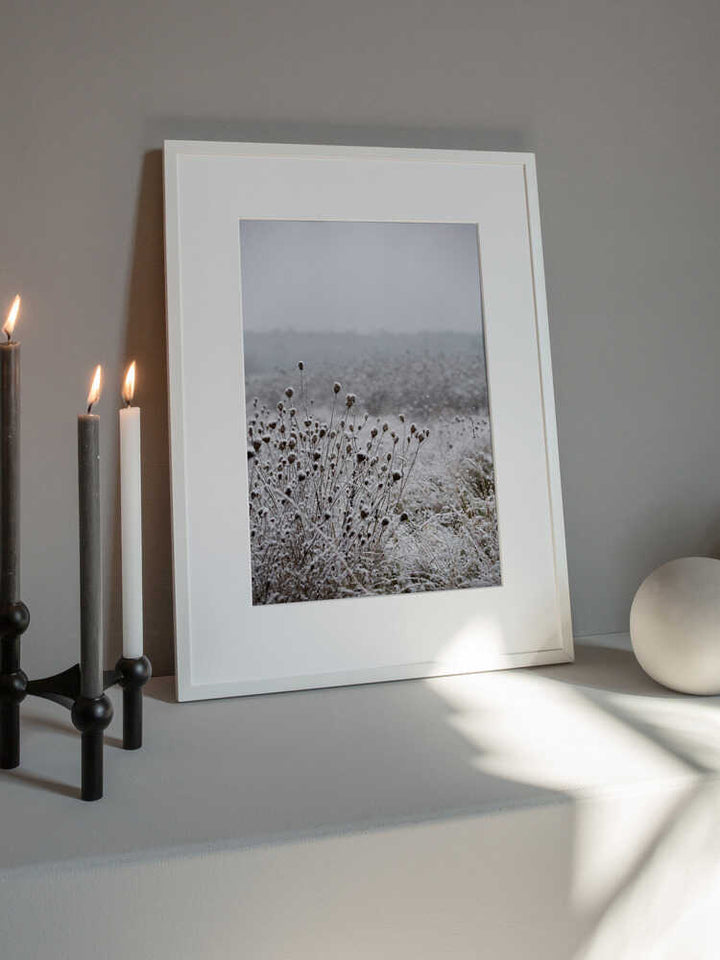 Winter Field 4