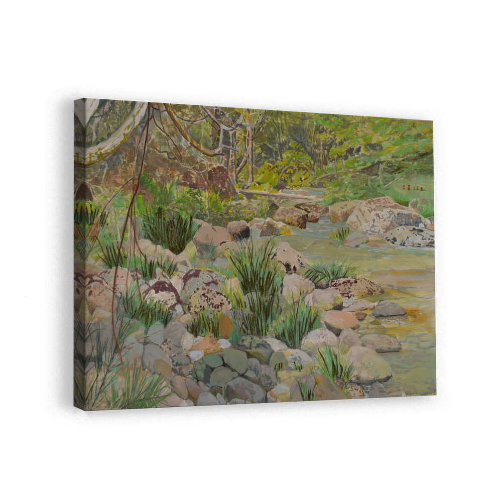 Lush Forest Stream