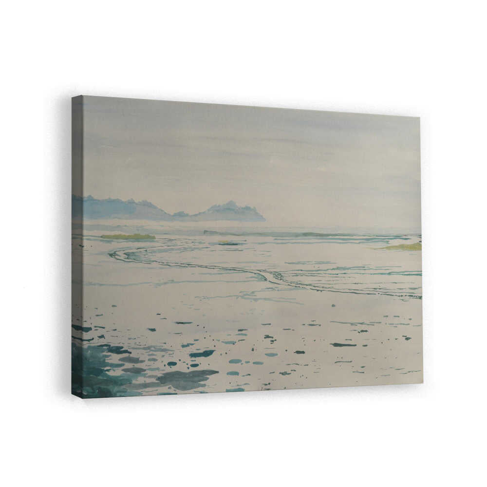 Misty Coastal Landscape