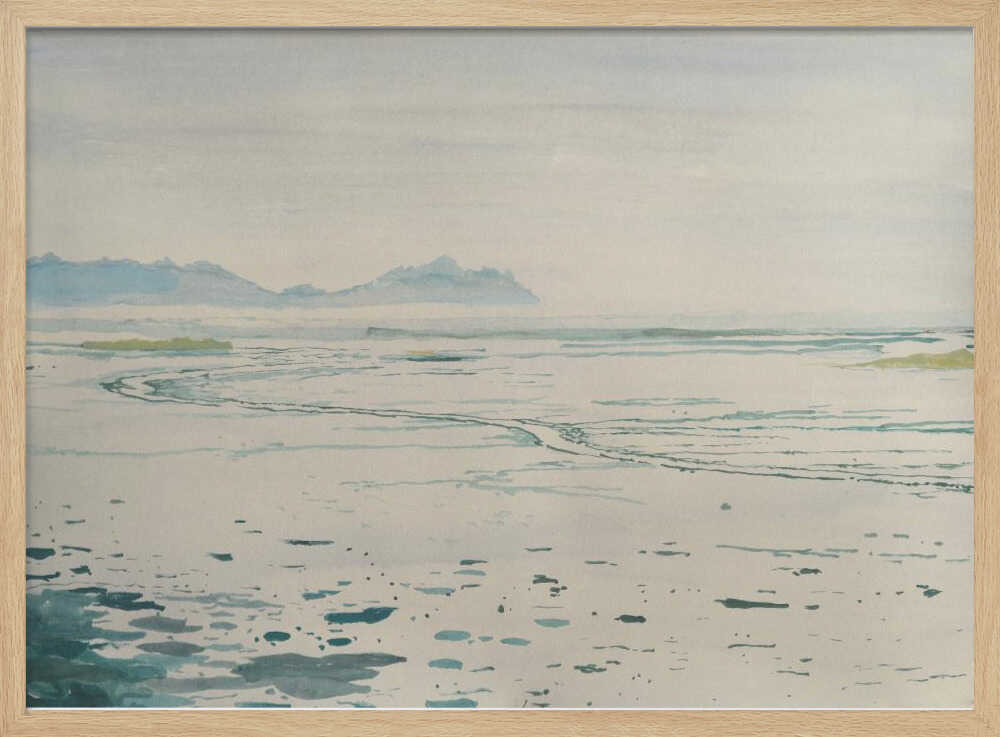 Misty Coastal Landscape