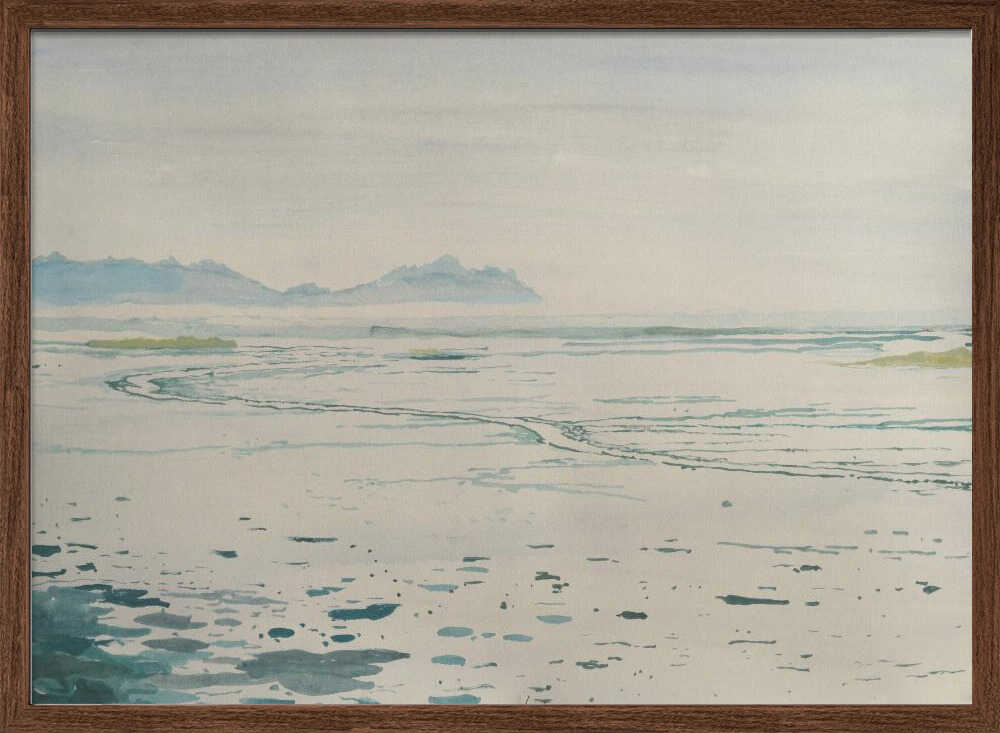 Misty Coastal Landscape