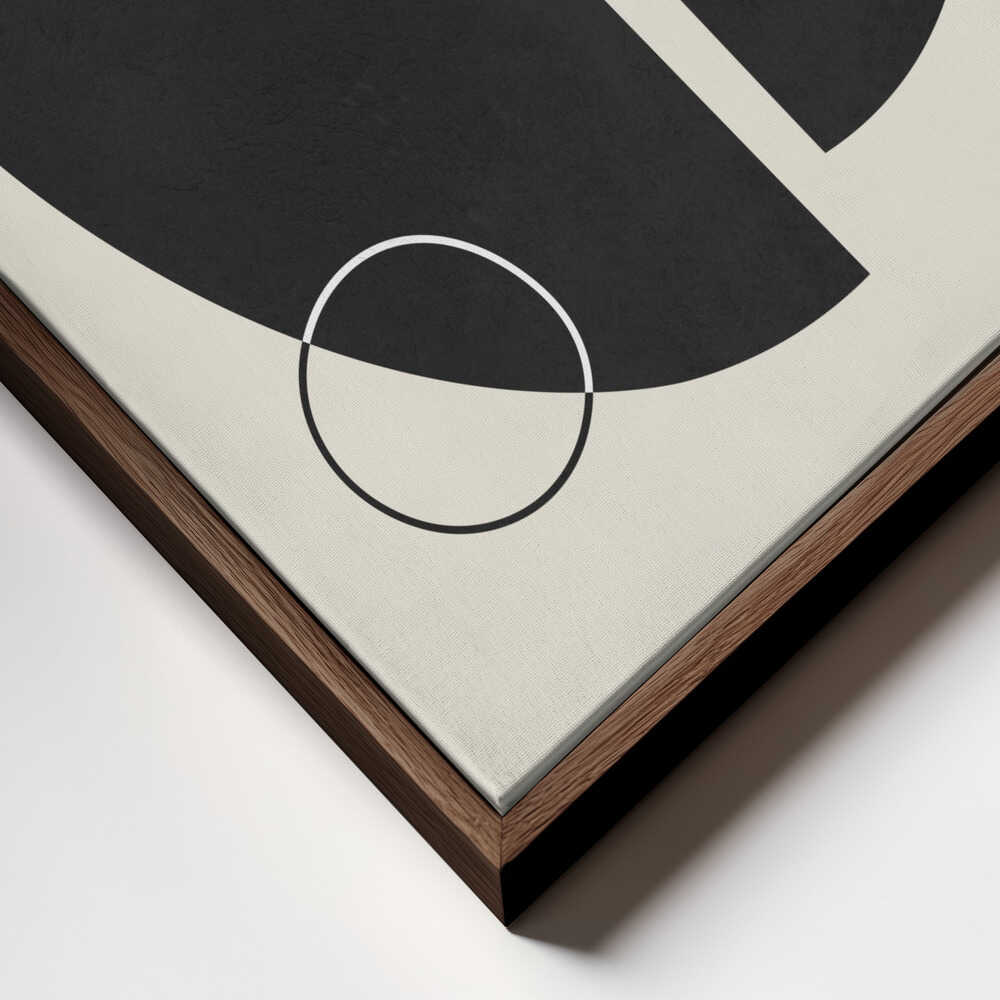 Organic Geometric Shapes