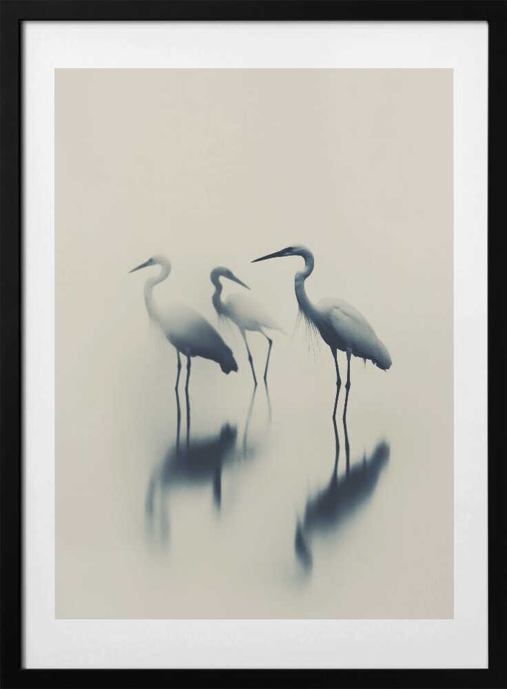 Ethereal Egrets