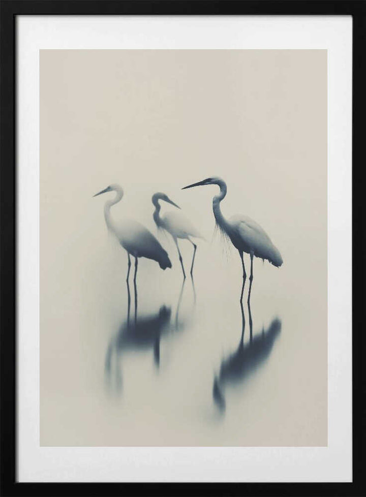 Ethereal Egrets
