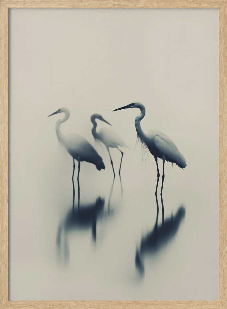 Ethereal Egrets