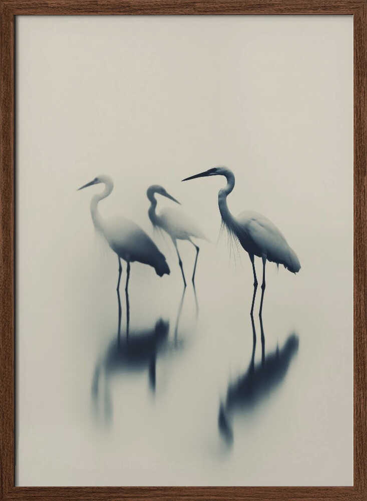 Ethereal Egrets