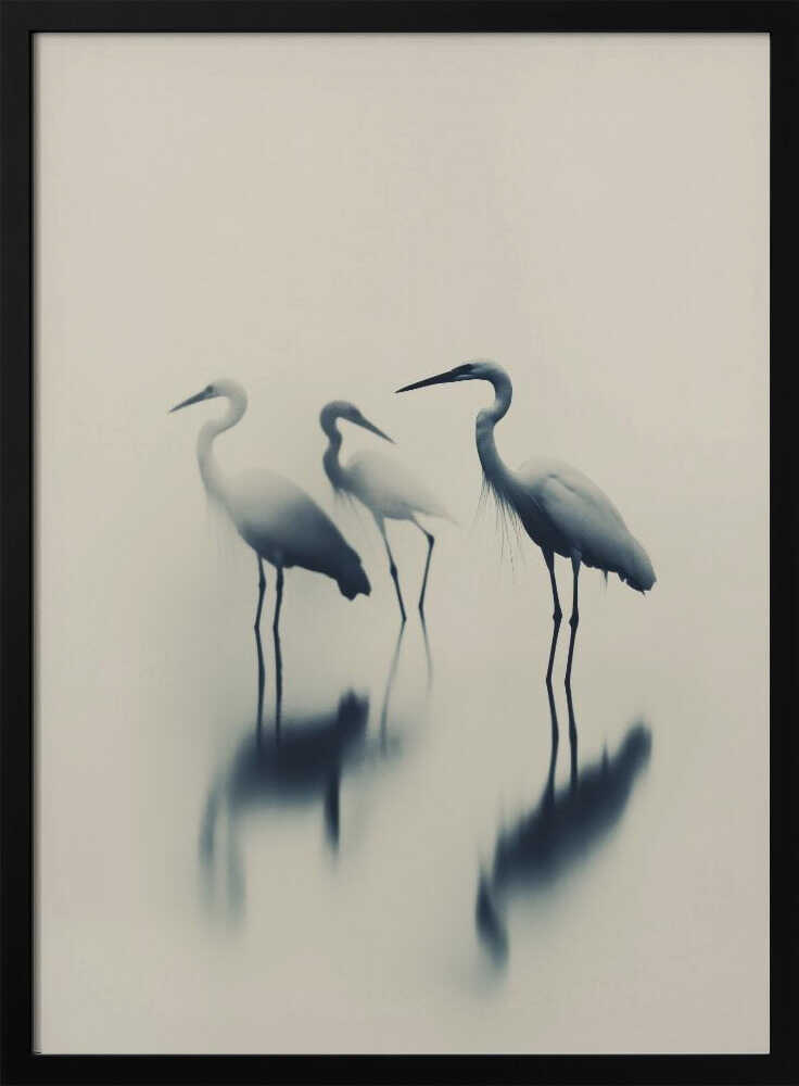 Ethereal Egrets