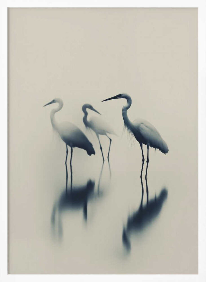 Ethereal Egrets