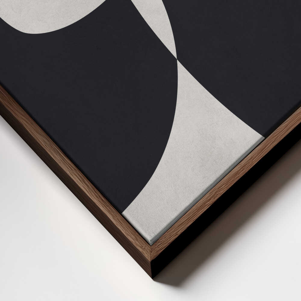 Abstract Fluid Curves