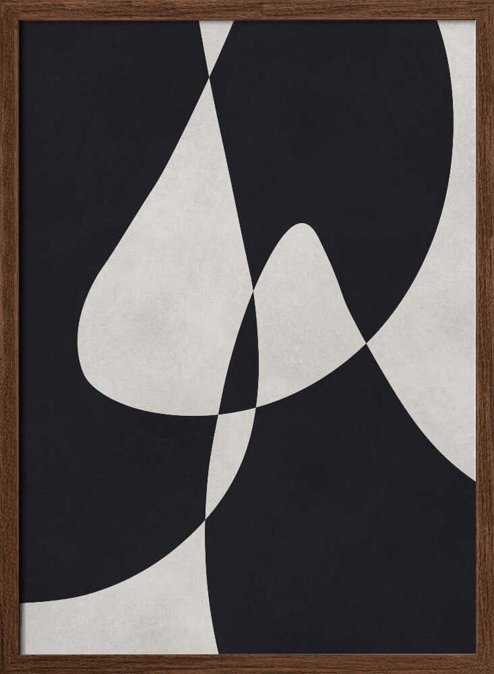 Abstract Fluid Curves