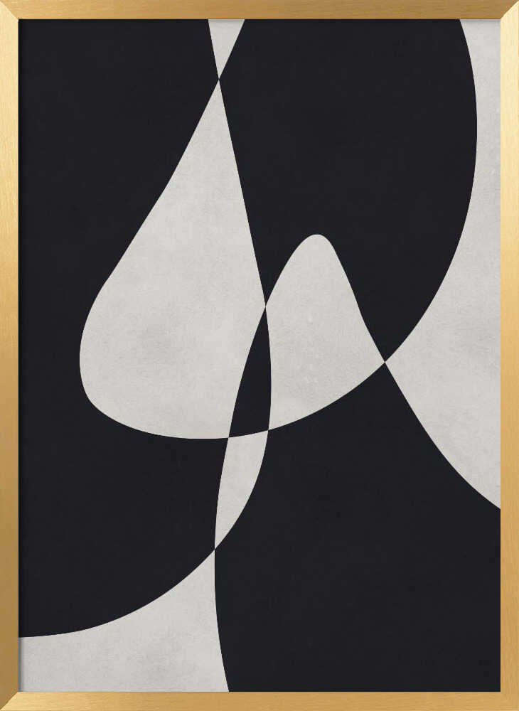 Abstract Fluid Curves