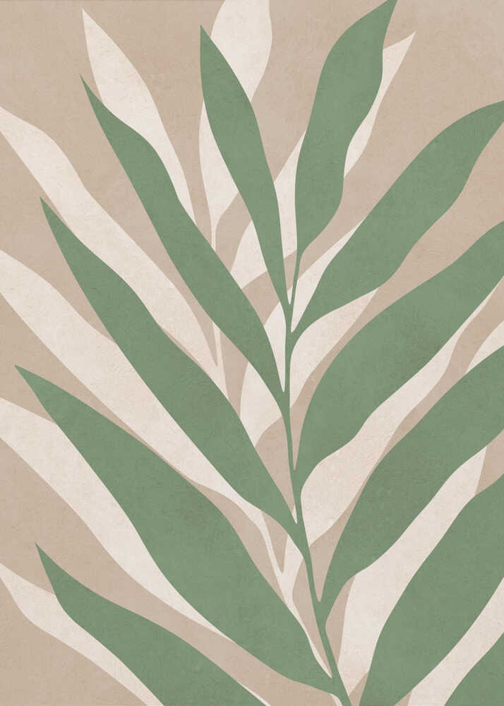 Soft Palm Leaves