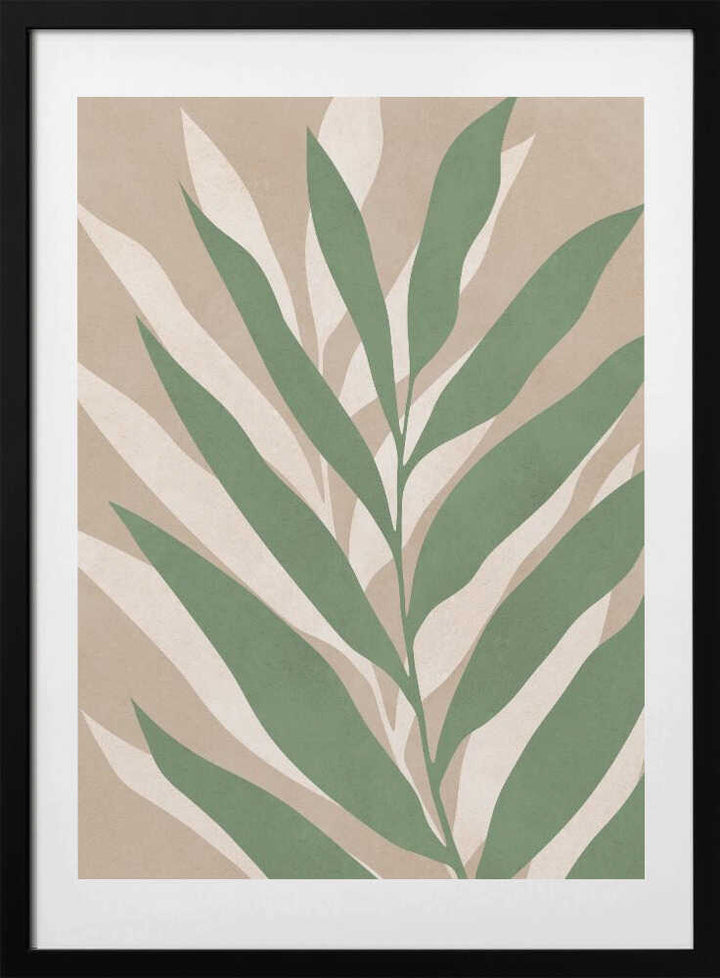 Soft Palm Leaves