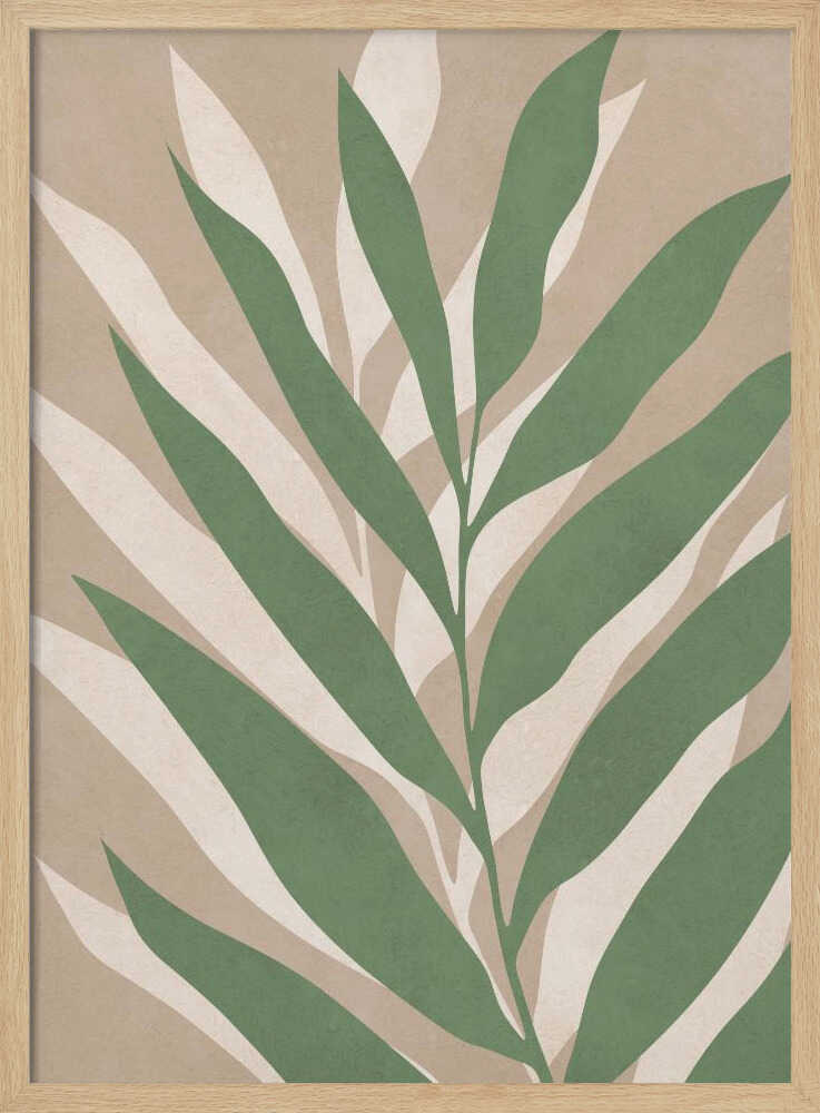 Soft Palm Leaves