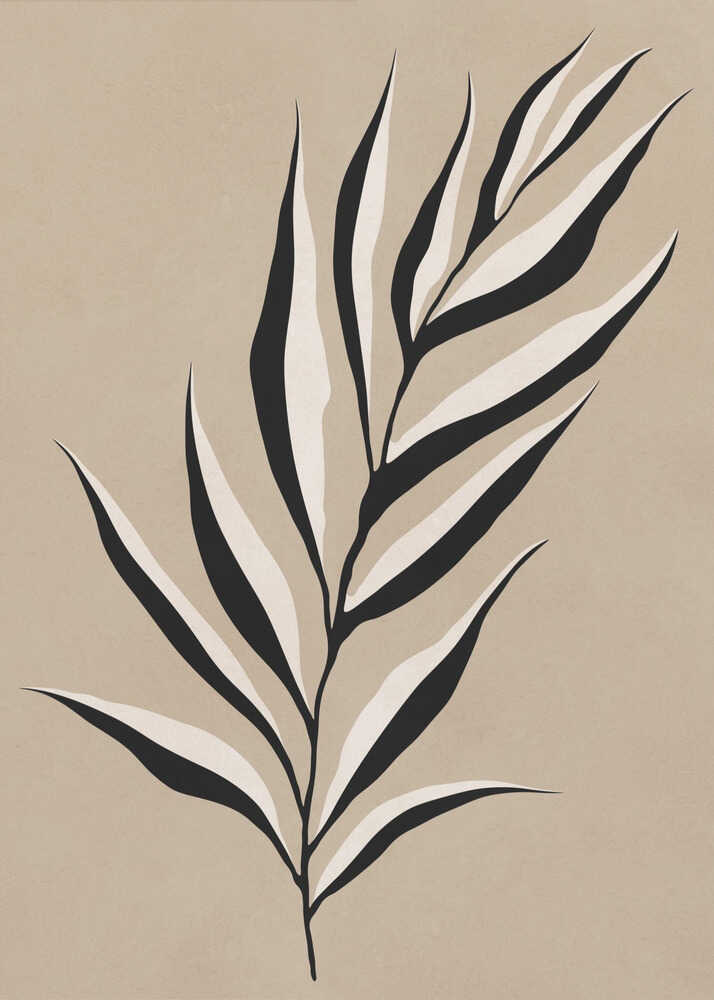 Abstract Palm Leaf