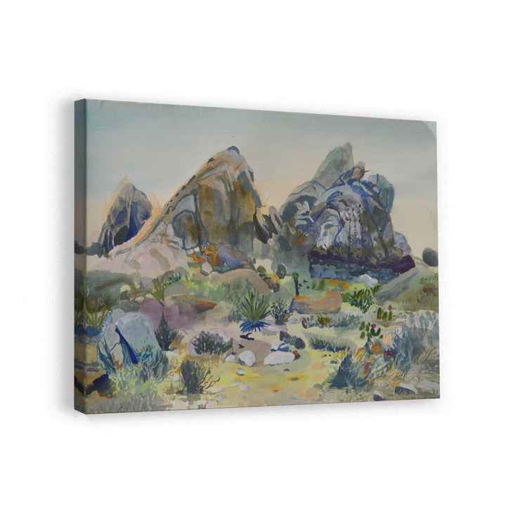 Southwest Desert Rocks
