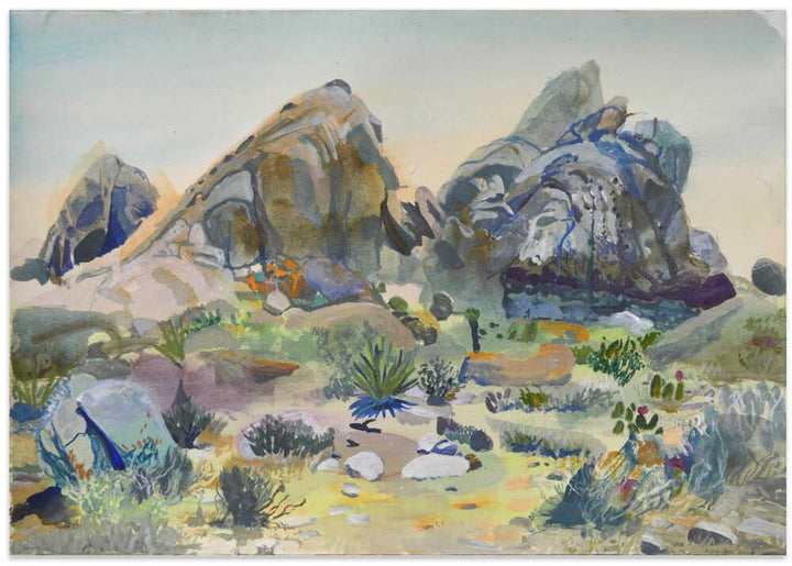 Southwest Desert Rocks