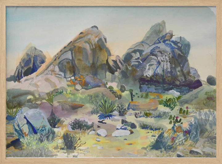 Southwest Desert Rocks