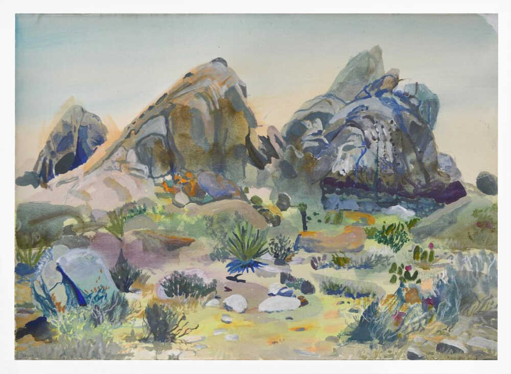 Southwest Desert Rocks
