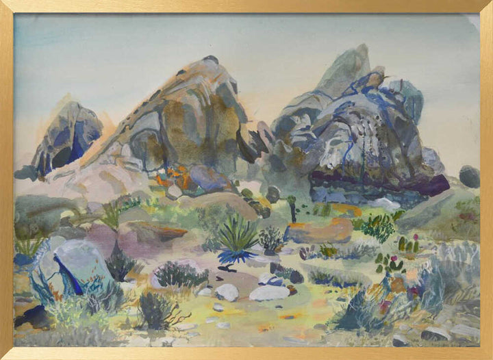 Southwest Desert Rocks