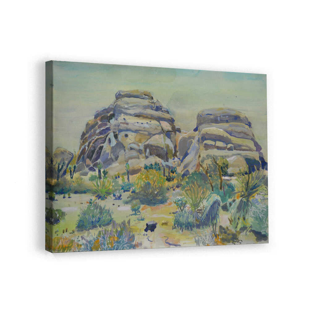 Joshua Tree Landscape