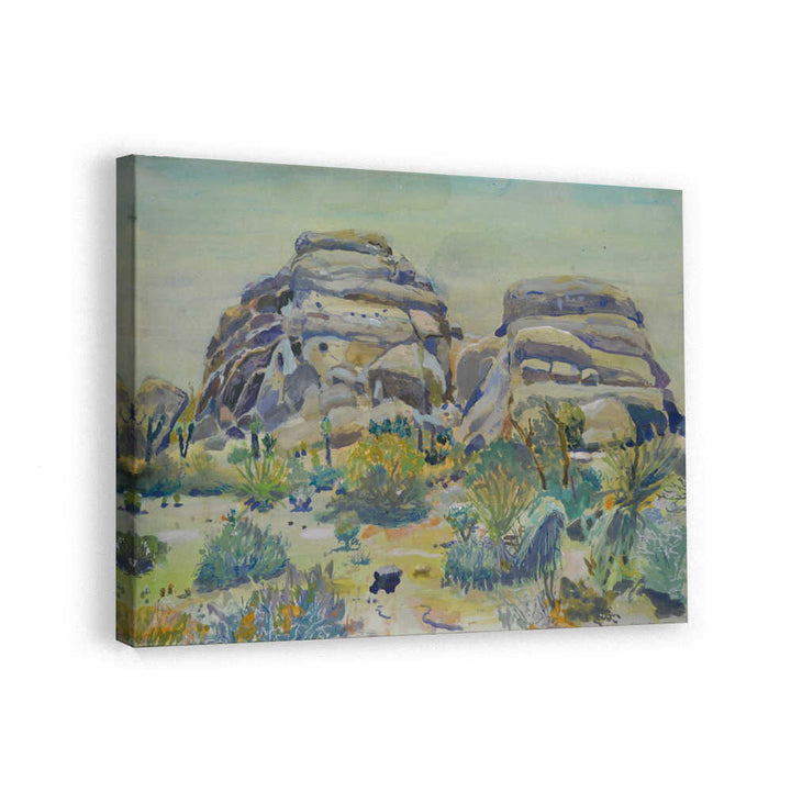 Joshua Tree Landscape