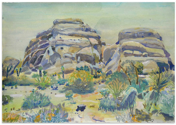 Joshua Tree Landscape