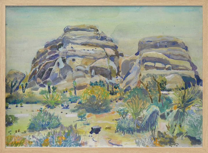 Joshua Tree Landscape