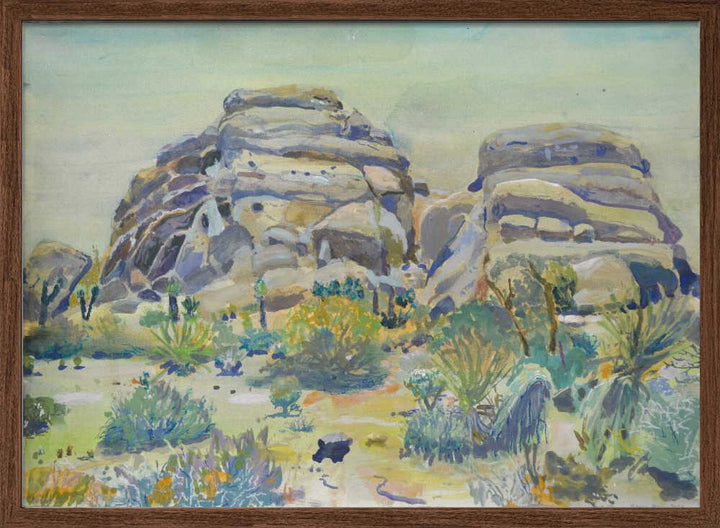 Joshua Tree Landscape