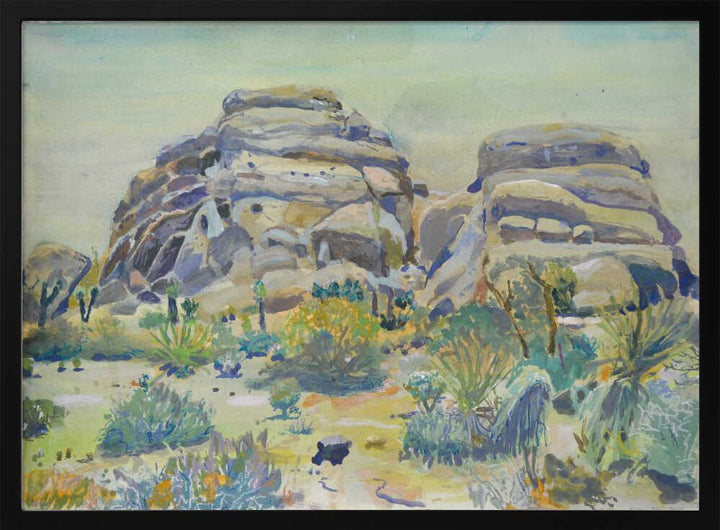 Joshua Tree Landscape