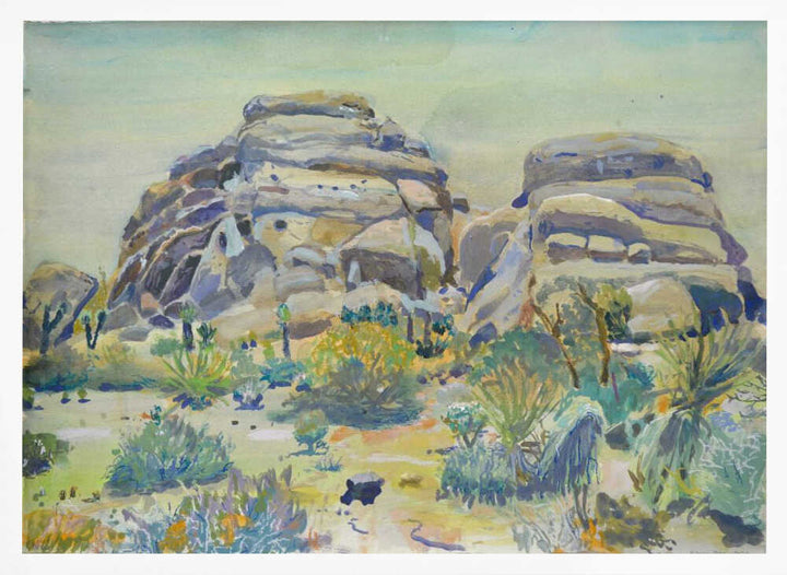 Joshua Tree Landscape