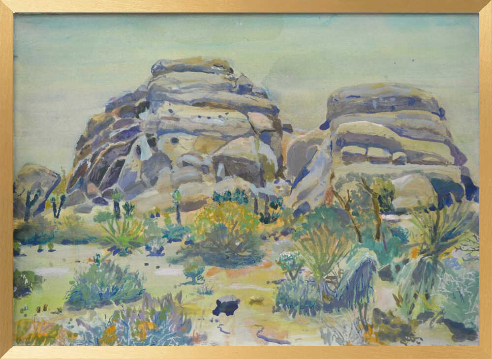 Joshua Tree Landscape
