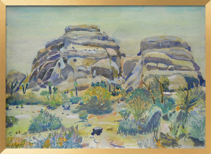 Joshua Tree Landscape
