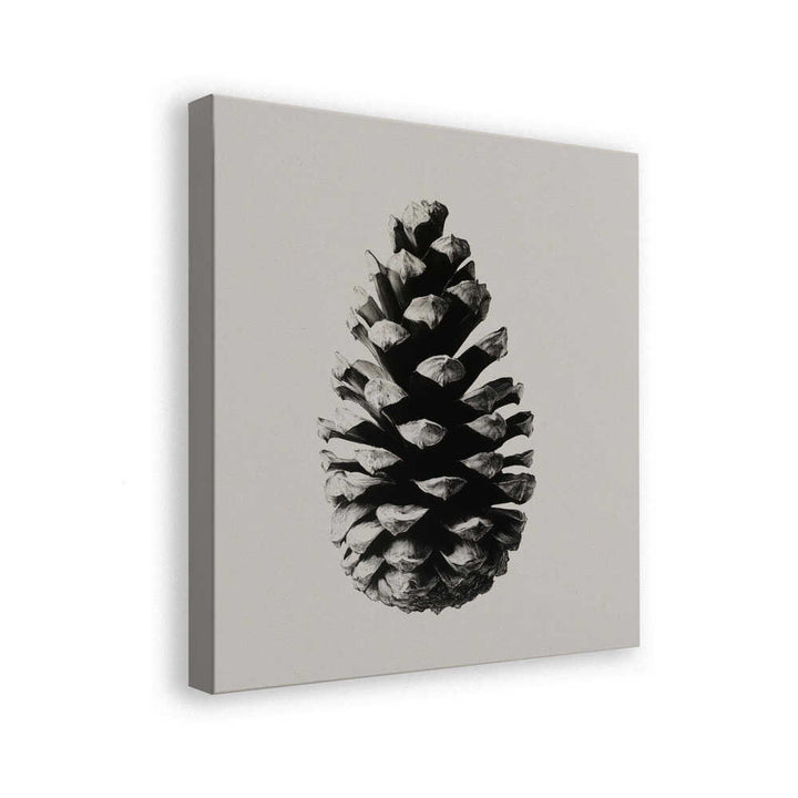 Pinecone Silhouette