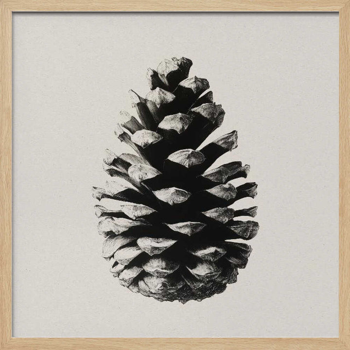 Pinecone Silhouette
