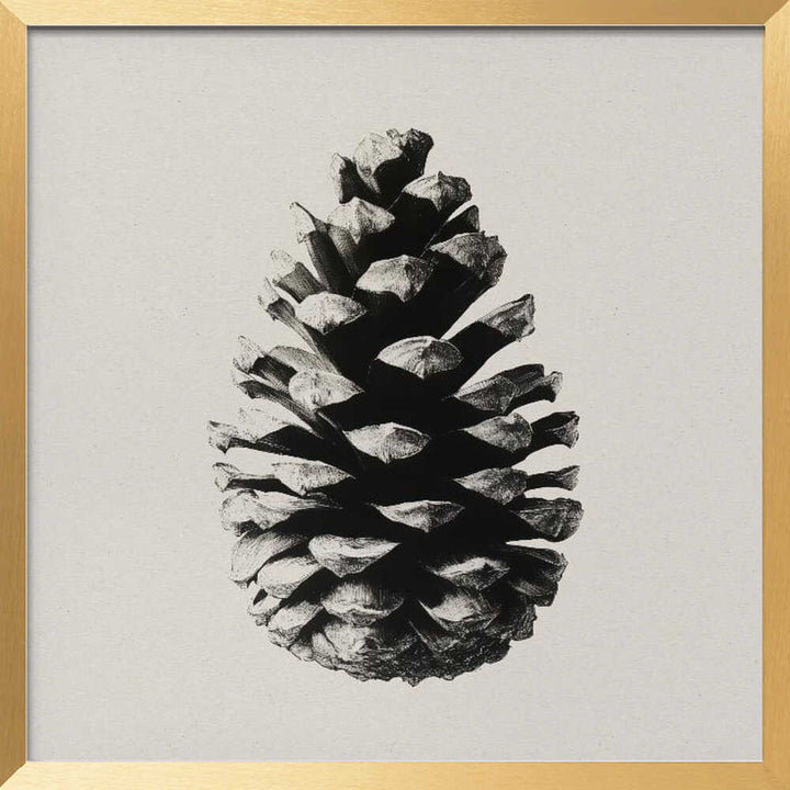 Pinecone Silhouette
