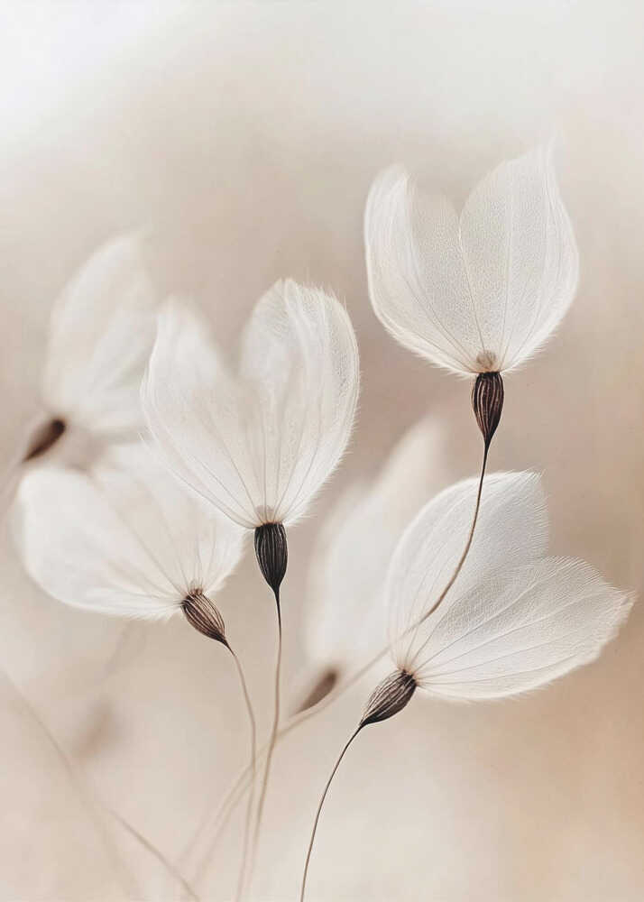 Ethereal Blossoms