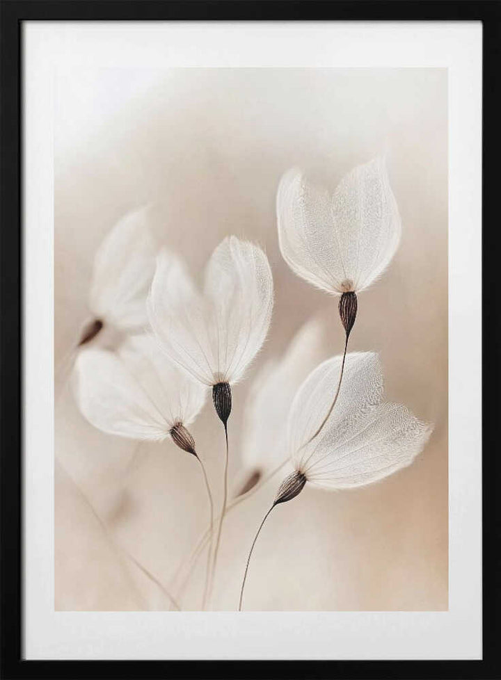 Ethereal Blossoms