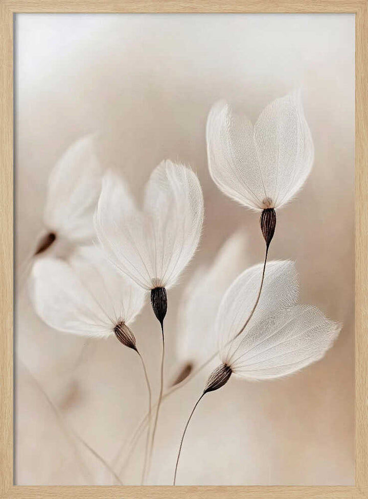 Ethereal Blossoms