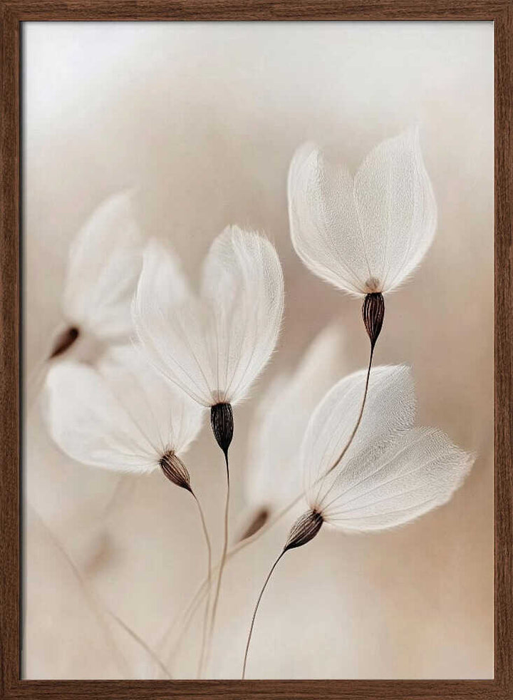 Ethereal Blossoms