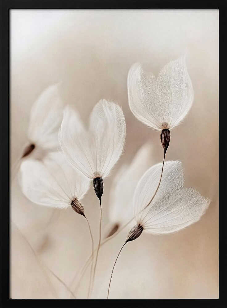 Ethereal Blossoms